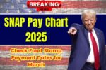 SNAP Pay Chart 2025 – Check Food Stamp Payment Dates for March